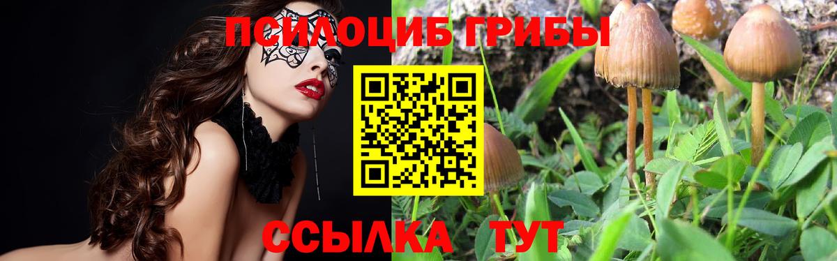 Псилоцибиновые грибы GOLDEN TEACHER Киржач